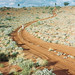 Sandy Tobin Photo 18