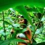 Belinda Thompson Photo 35