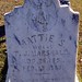 Mattie Taylor Photo 15