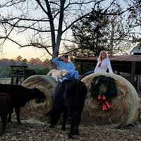 Debbie Sheridan Photo 35