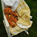 Teddy Lamb Photo 15