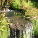 Jenny Rutland Photo 12
