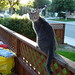 Tracy Benson Photo 35