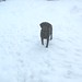 Annie Winters Photo 21