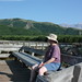 Theresa Johnston Photo 27