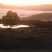 Gary Trapp Photo 17