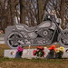 Donald Weiss Photo 11