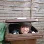 Matthew Stephenson Photo 19