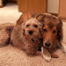 Gerry Fitzgerald Photo 6