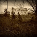 Irwin Thompson Photo 10
