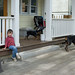 Steve Gabriel Photo 10