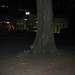 Philip Key Photo 8