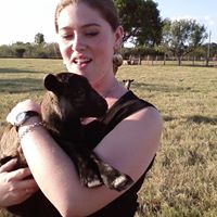 Renee Lane Photo 6