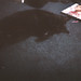 Dexter Black Photo 6