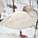 Connie Hardy Photo 14