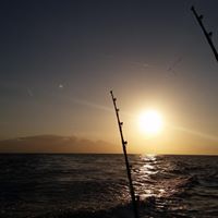 Scott Behrens Photo 26