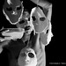 Ed Andrade Photo 13
