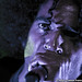 William Duvall Photo 31