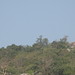 Linh Dinh Photo 38
