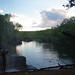 Kimberly Mitchell Photo 6