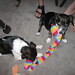 Jenny Jackson Photo 14
