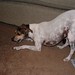 Amy Wiener Photo 15