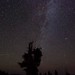Jeff Groves Photo 36