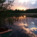Martha Alford Photo 17