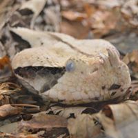 James Reavis Photo 12