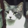 Cheryl Bell Photo 45
