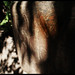 David Grove Photo 40