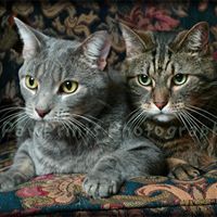 Debra Ross Photo 32
