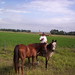 Sherry Jarvis Photo 18