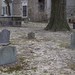 Mary Phipps Photo 15
