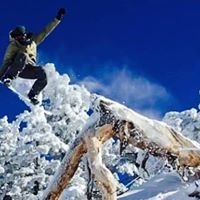 Chad Power Photo 6