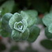Bud Holmes Photo 12