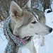 Barry Wolf Photo 40
