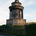 Robert Hills Photo 20