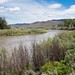 Douglas Carson Photo 17