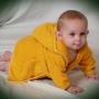 Harold Ellis Photo 14