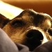 Arthur Friday Photo 8