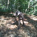 Lois Wood Photo 9