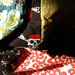 Robert Dewberry Photo 22
