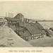 Alice Mills Photo 11