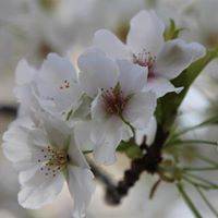 Heather Farnsworth Photo 27