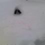 Rebecca Marquardt Photo 32