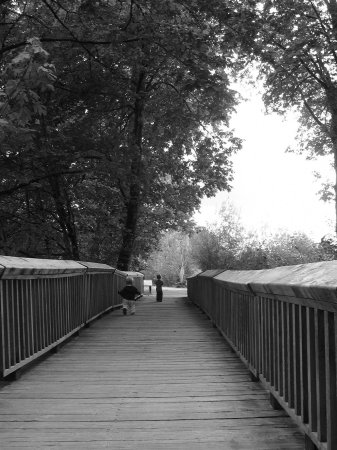 Marsha Fisher Photo 18