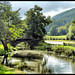 Debbie Hopkins Photo 34