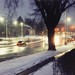 Roland Winter Photo 17