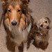 Gerry Fitzgerald Photo 7
